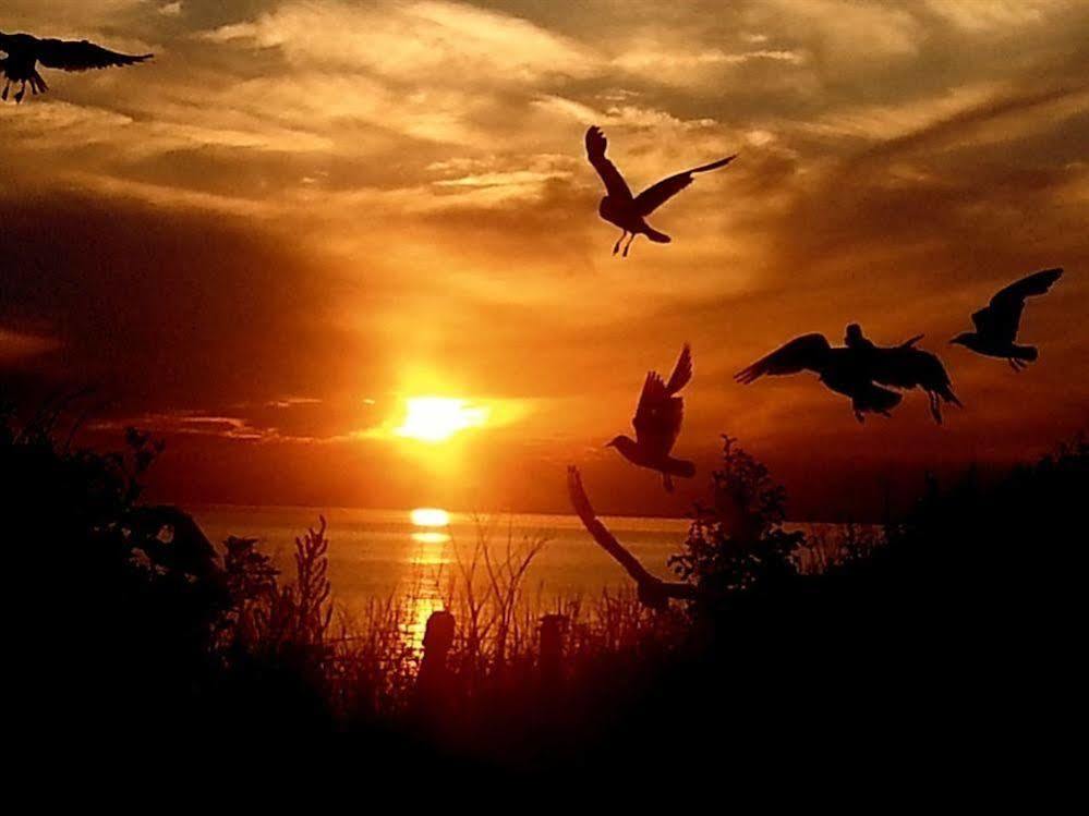 הנסטנטון Sunset Guest House מראה חיצוני תמונה Sunset at the beach